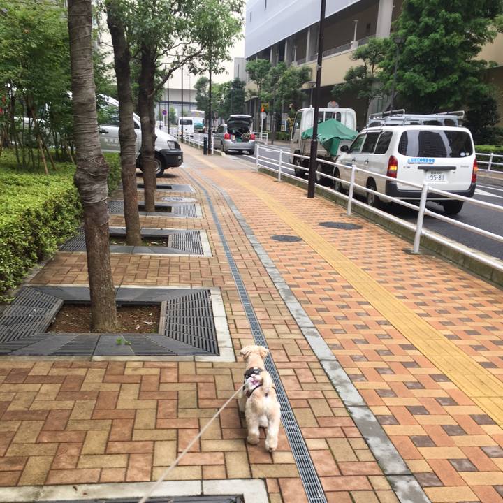 6c8e249d ac6e 4dd7 979b 3af915718604 1563608414827