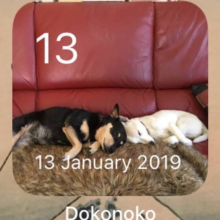 6c8e4076 d4cd 4450 9b2d 13a834526ec4 1768400094790