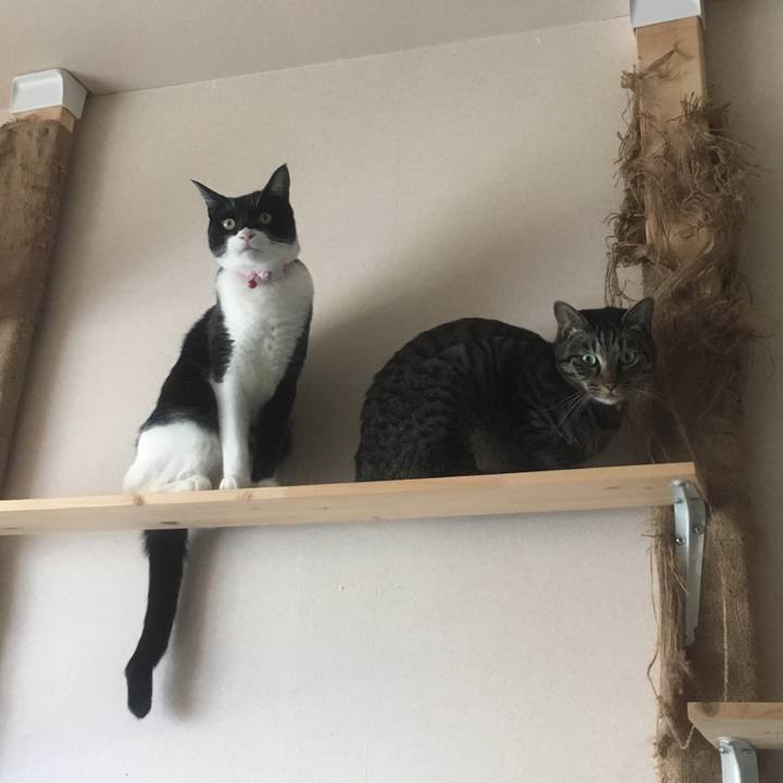 6c8e8918 ce17 4d4a aa9f 82704f685059 1576581944444