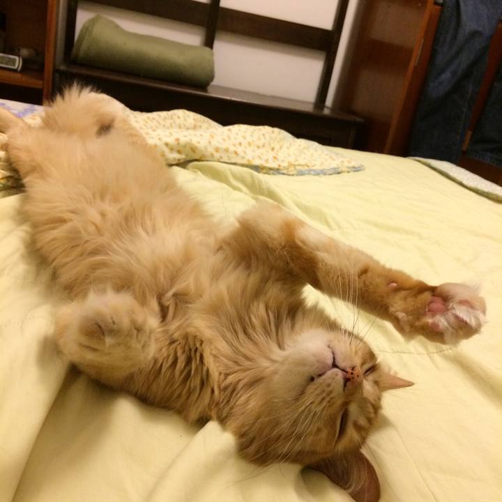 6c8ed6f5 49f2 4159 b8db b4e1c250020e 1529000809655