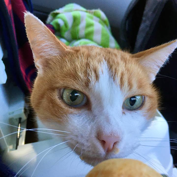 6c8ee424 c0b7 4e20 b86b 4c05e36364e9 1571997484988