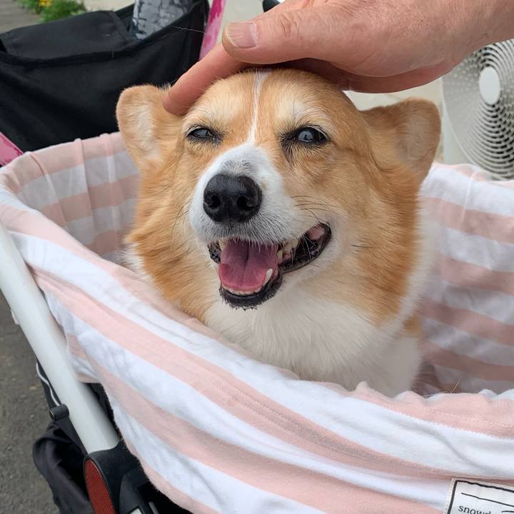 6c8f7725 18db 49c1 8e24 92f72caaab88 1713407521401