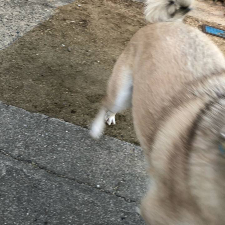 6c8f7957 4a2b 454a be46 bdfc4b825f6e 1611233824528