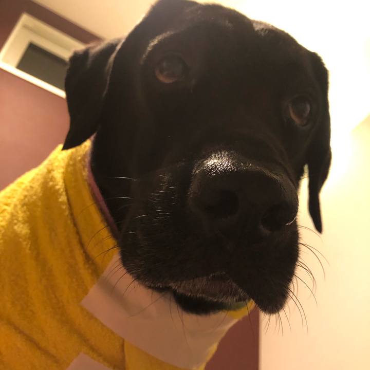 6c8f8504 555b 49e9 922f c89908362ce0 1631114393454