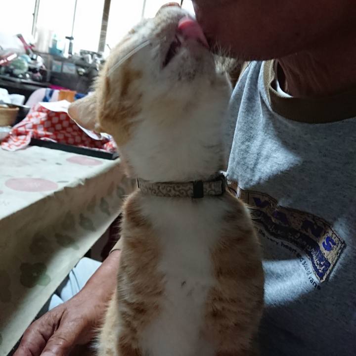 6c8fb4f2 2864 4085 98f4 d9aa74f7d46a 1593465011954