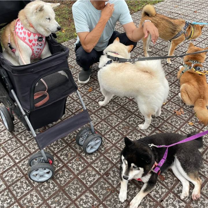 6c8fb595 1c2e 4ea9 b513 b15de630d9d5 1696154775312