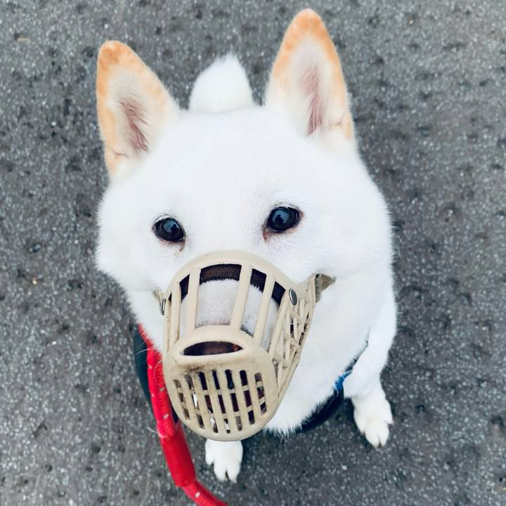 6c8fc42a 0cfe 4fed 8d95 ff6b9d7a89fa 1661459624761