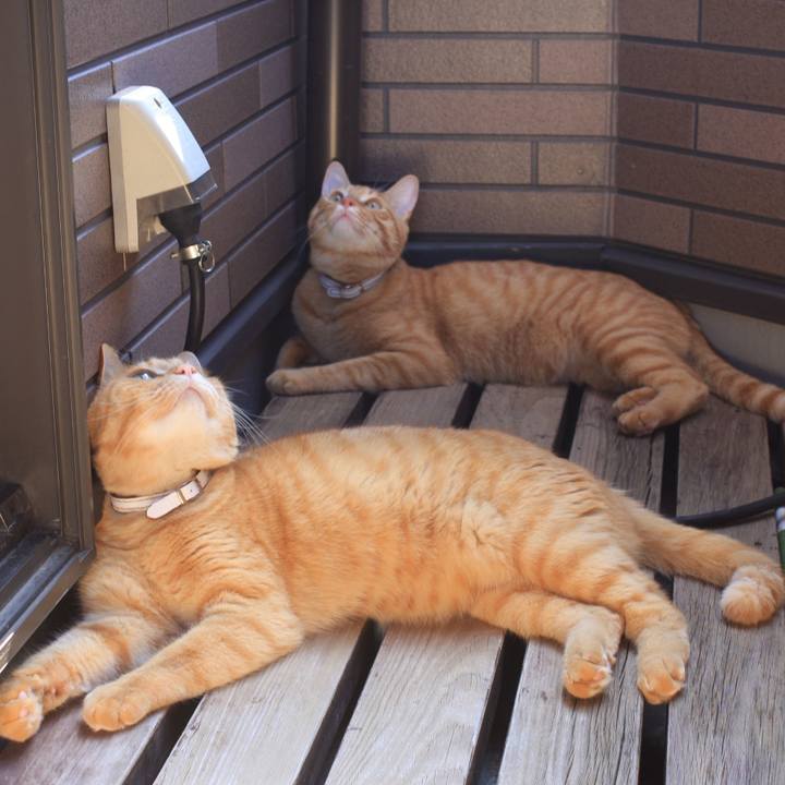 6c905c9b cfb9 4488 a4fb a6e5be24d55b 1721551639894