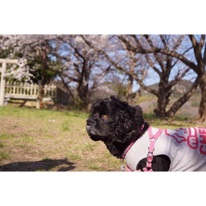 6c9094d1 8493 4733 b4da e777d435df91 1554453714257