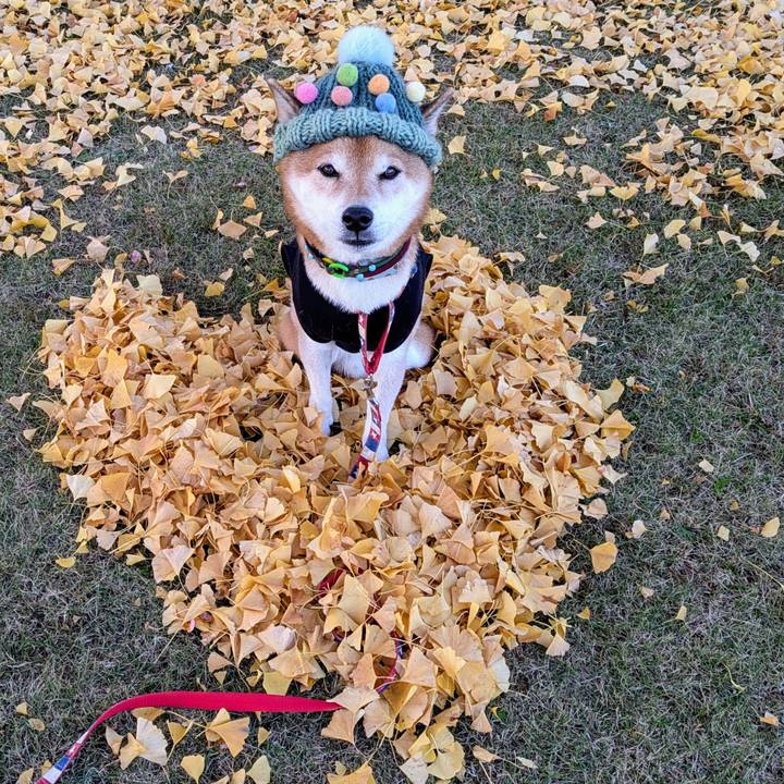 6c90ad72 92a0 4014 89ea 37248aa79f68 1763711826668