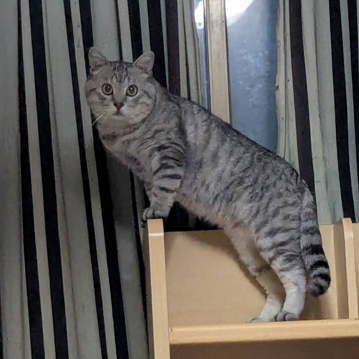 6c90bcae c7dd 4b57 b582 5e6c7c29dc53 1752655333975