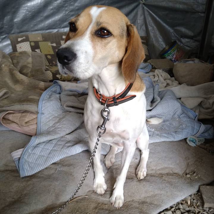 6c90d6d3 0d39 4814 bcbb 4c914632267d 1632898760885