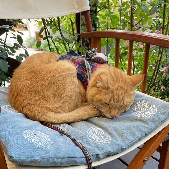 6c910911 6df5 404e bb69 088f64e26aed 1633758621158