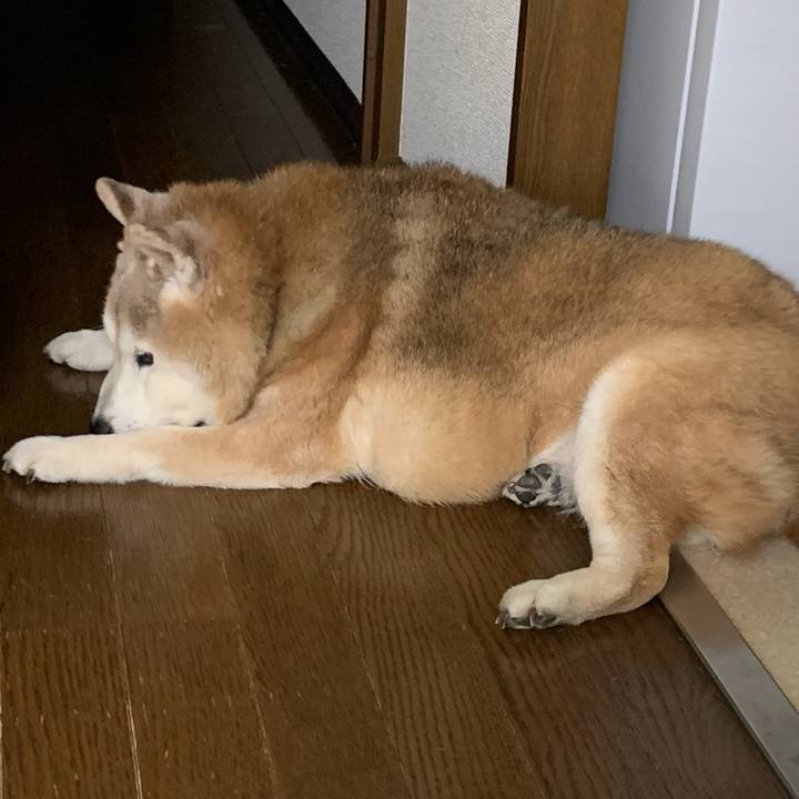 6c912046 fd8f 444f a255 e1cac445e704 1677625322653