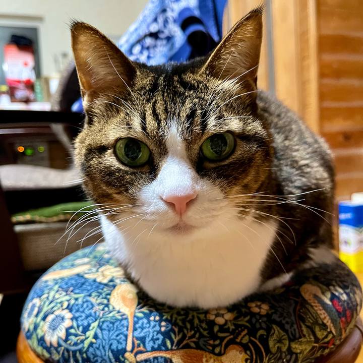 6c9180a3 467c 4350 abbf 0be5328cd13c 1735473484536