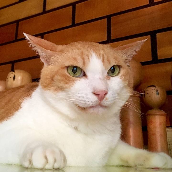 6c919086 92ba 4a3e 9bab 0cff711cf8c7 1598504952394