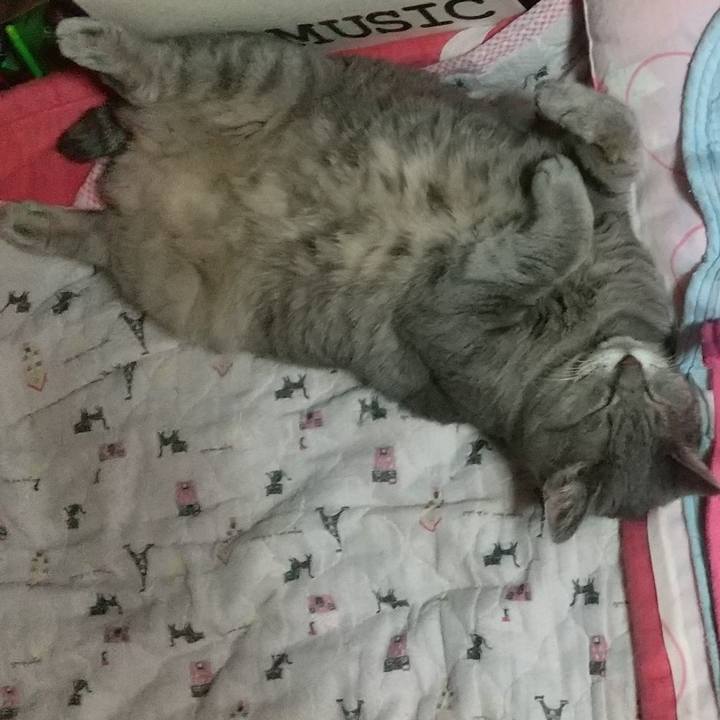 6c91e39f 8919 4062 8e0a 1363667e563f 1631377219993