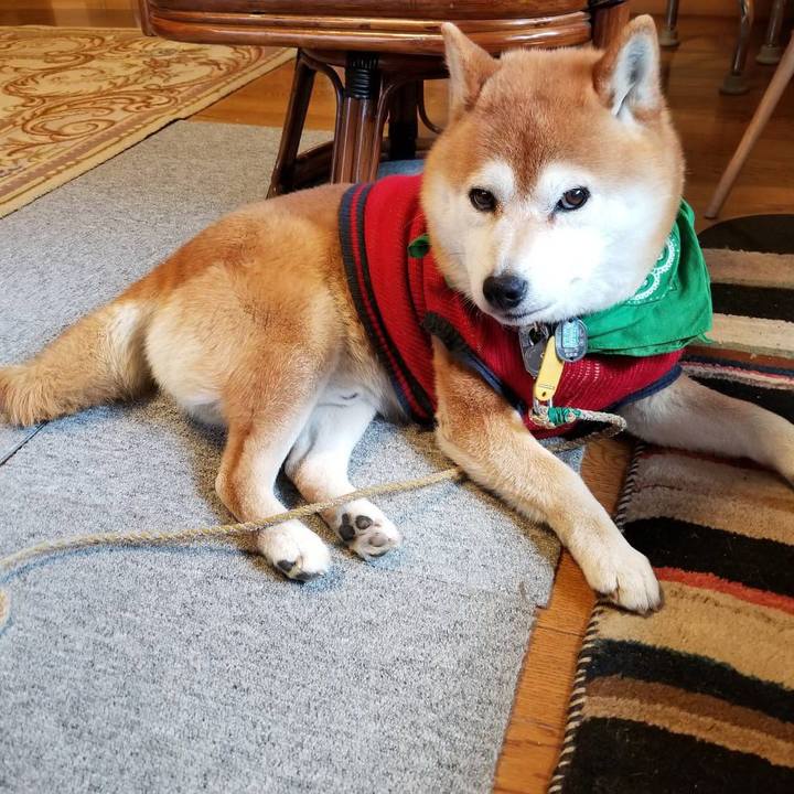 6c920eb4 1389 4ab9 9d99 5327d759e05f 1553987170041