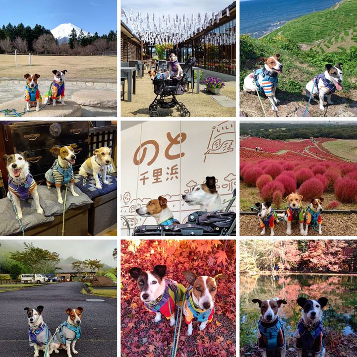 6c924220 b27c 4727 9acd 831dccc083ab 1672473520002