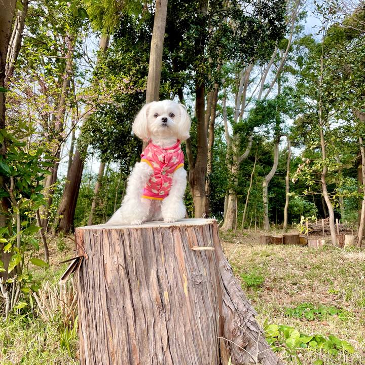 6c926f9e 0e4a 44e4 9065 c6c81e645f7a 1615269740130