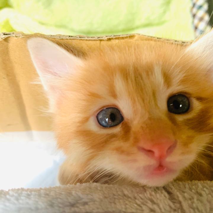 6c928282 29df 40ab 846d 28469f5c0aff 1571112908065