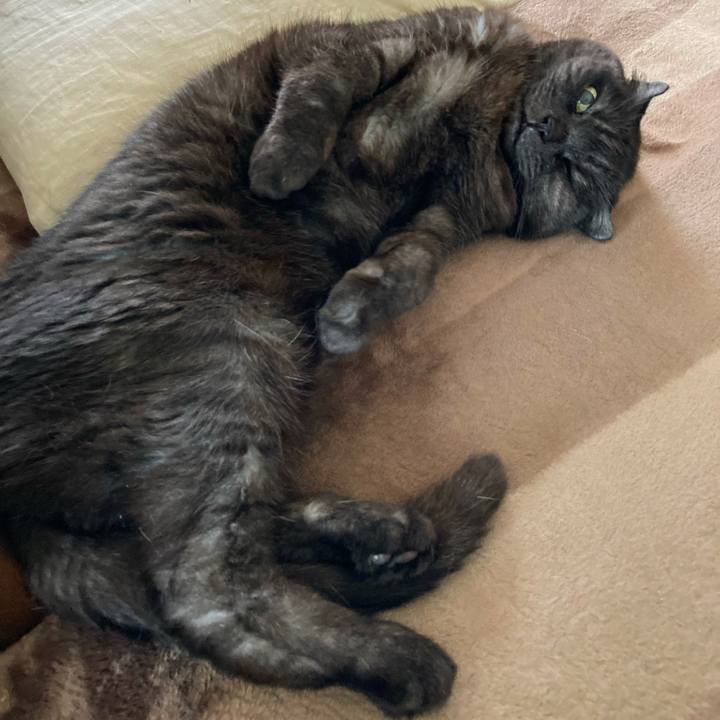 6c92bd7e c5a1 455a aec0 9a0c0325826b 1625395675564