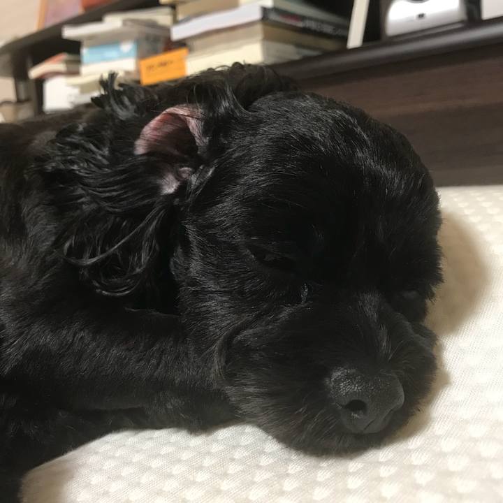 6c93a951 4f45 4f27 b017 4e34916c6915 1535465969156