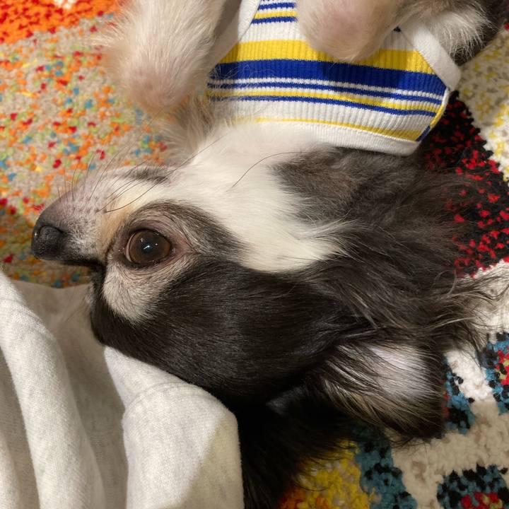 6c93c113 8b72 4bfc 8f6c 79a4de8b566b 1713096487638