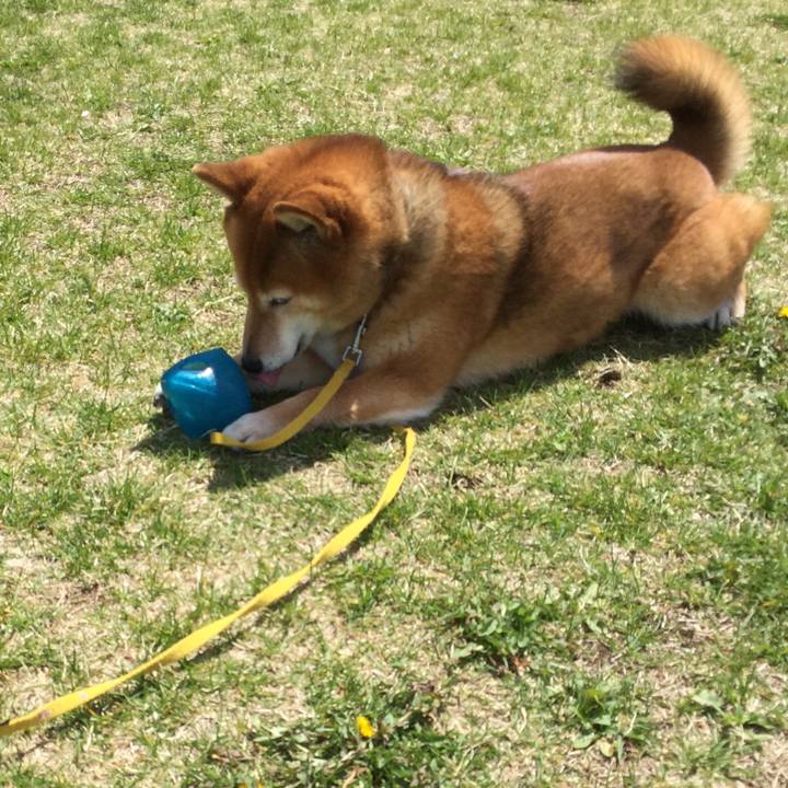 6c943df6 e4bb 4e2f ab14 e8a549016fc9 1555317791627