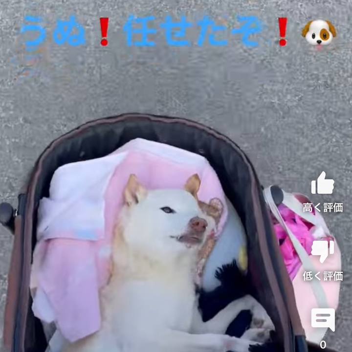 6c9469b9 2ddf 4426 8f83 e3ade3da9fae 1678918891464