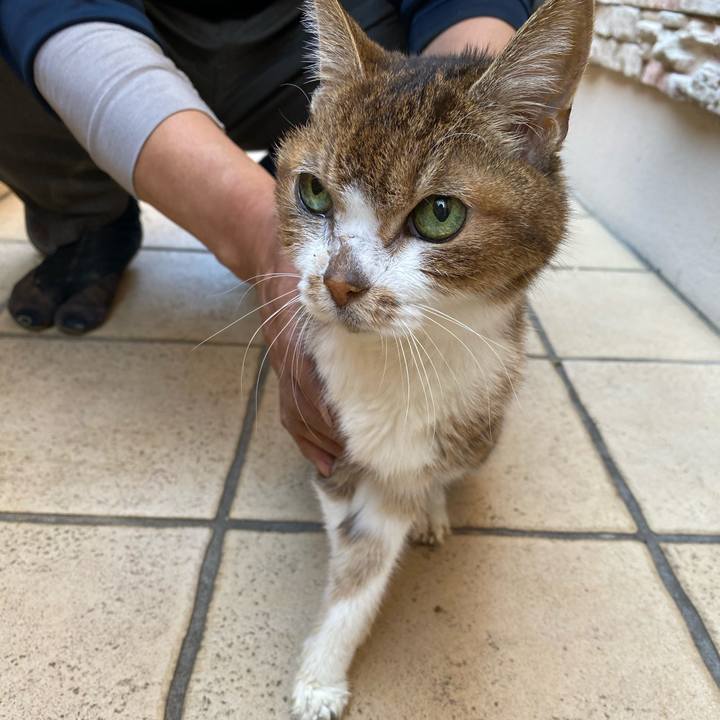 6c94743f c66d 4cf6 8e9b 23897790ff82 1584513452774