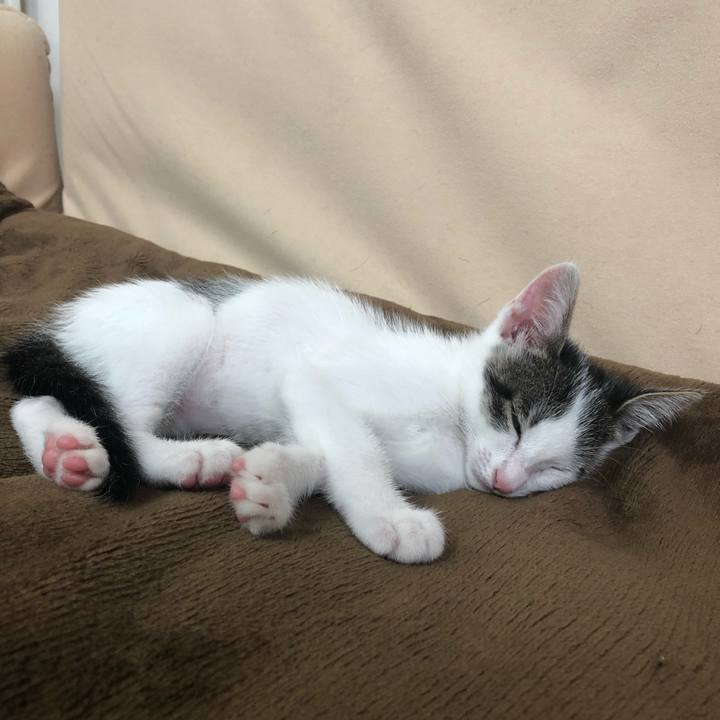 6c949322 eebc 4996 8ad8 152f9842316e 1562024136071