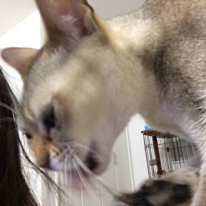 6c94b119 35c6 4e59 ae26 bad99b381c45 1518856276840