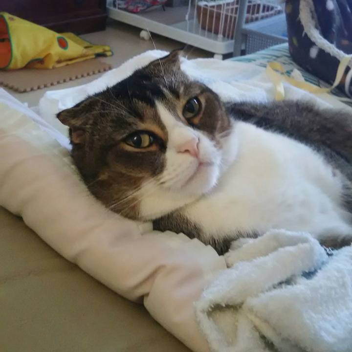 6c94b958 9ad6 4bc9 93e1 38b4fccc876a 1524285785656