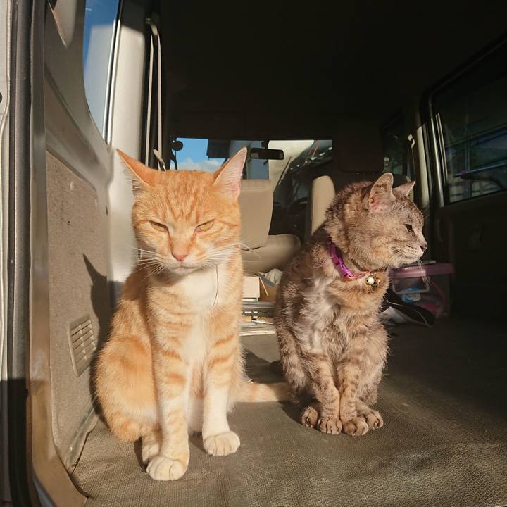 6c94cf59 749e 4051 8474 02bdd98af68c 1592340454261