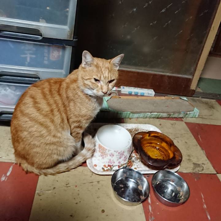 6c950883 e97c 47f7 a466 1721a8ebbb88 1570393978150