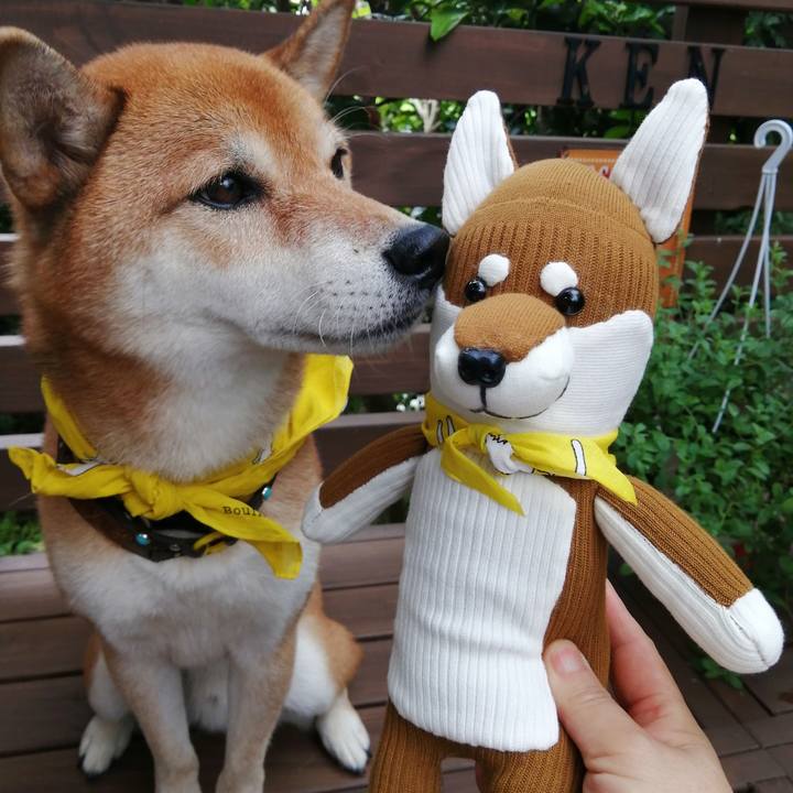 6c951685 c74e 41bd bad0 402d7b7790e3 1630463754775