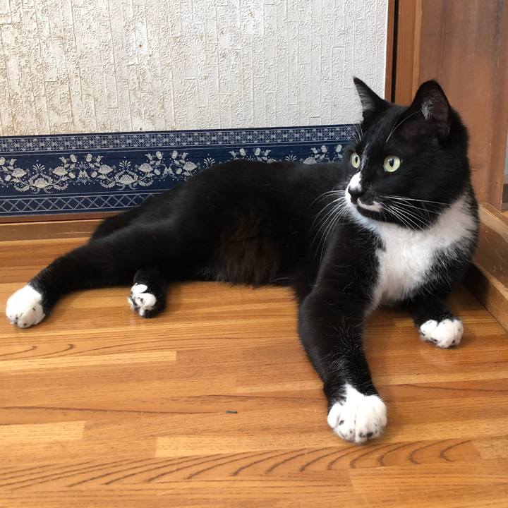 6c957322 754d 4cd9 888e 7ffda969d147 1622778583777