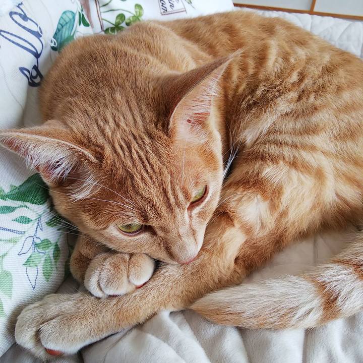 6c95b457 9321 4604 a560 a72e5f46b1b5 1562025590469