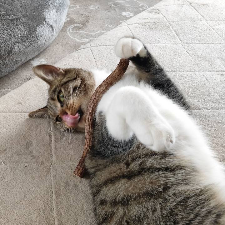 6c95b5cb 623c 485a ace4 d502a1fcf381 1680842502782