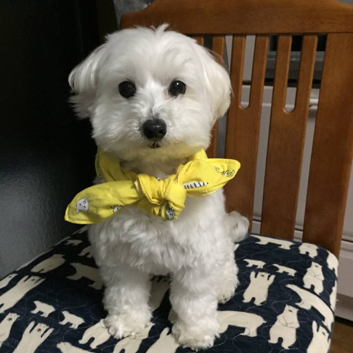 6c95d046 8279 4f49 85fa e60bfc0ab7c7 1521717704624