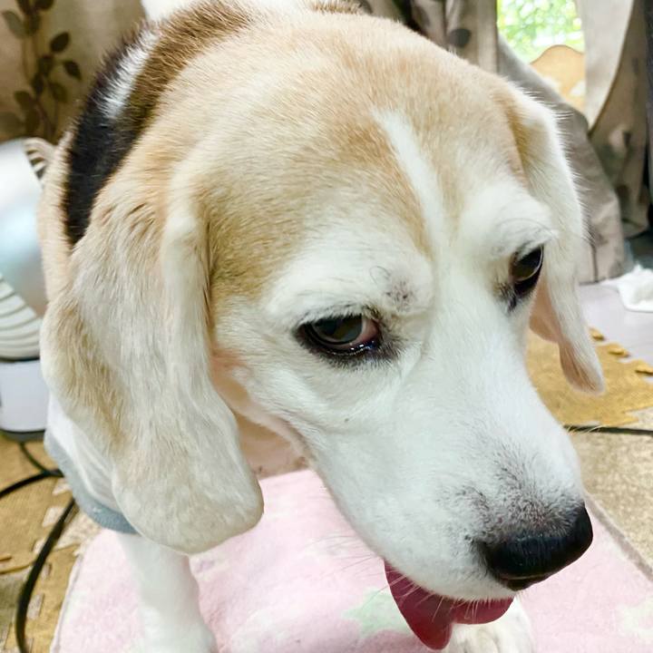 6c95e083 a07d 4f9d 83d2 54ecf3e168d0 1655524753979