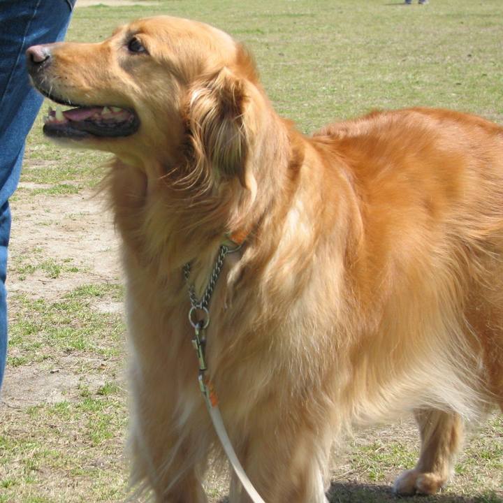 6c95f24b 5959 407f a0d4 c377af8d4daa 1565656685563