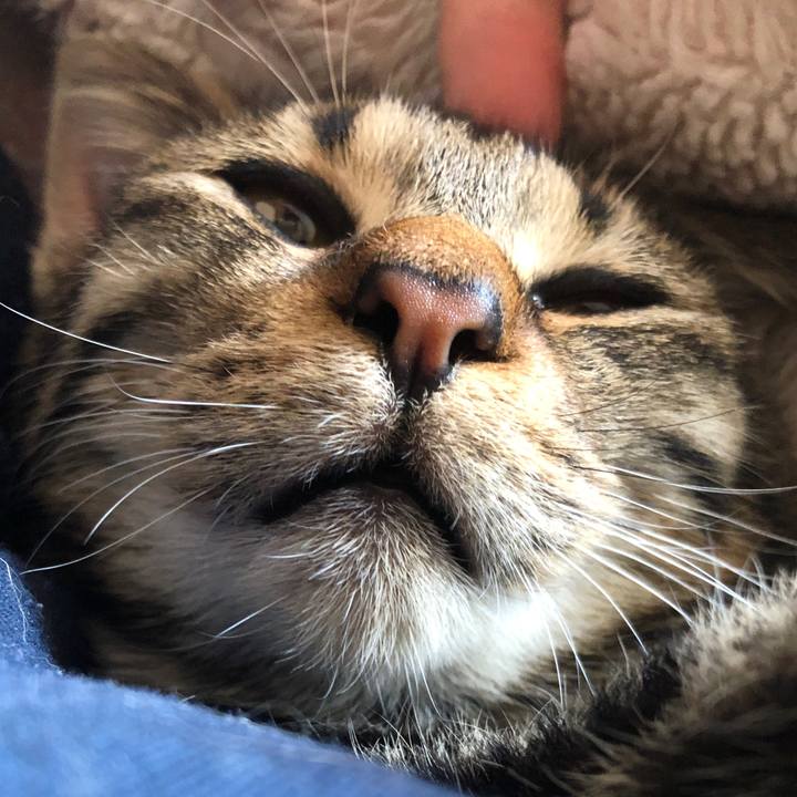 6c95f36a a99a 4e1c 91c4 94ec8028381e 1735518377555