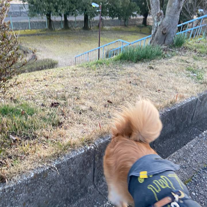 6c95fde3 cd08 4b75 bf82 9394344a7fc8 1580596033434