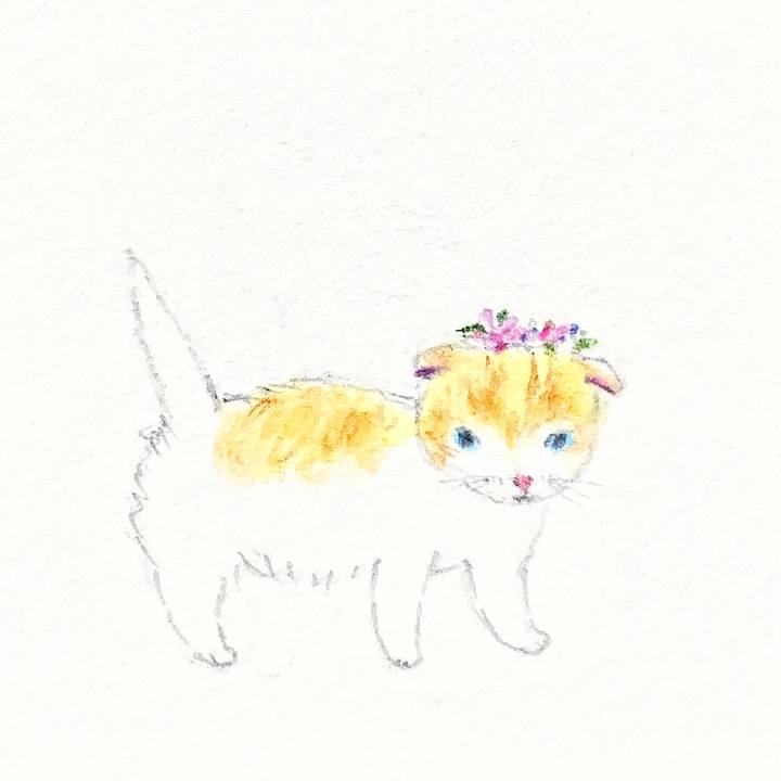 6c96b58a e33c 43ae 8590 fcc471f93e78 1660346715893