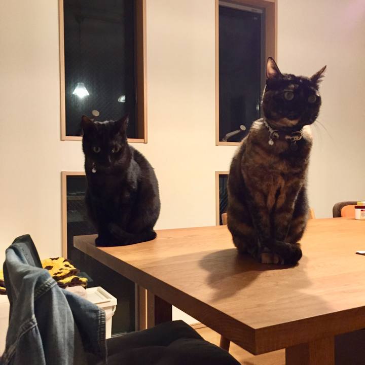 6c973e2f 74e2 4b43 9efa 8c38971ca6ba 1512734288936