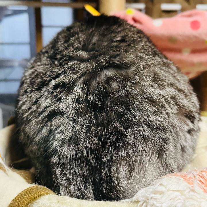 6c97417e dd5c 456a a9a8 12aaa3e4b1a0 1773097165539