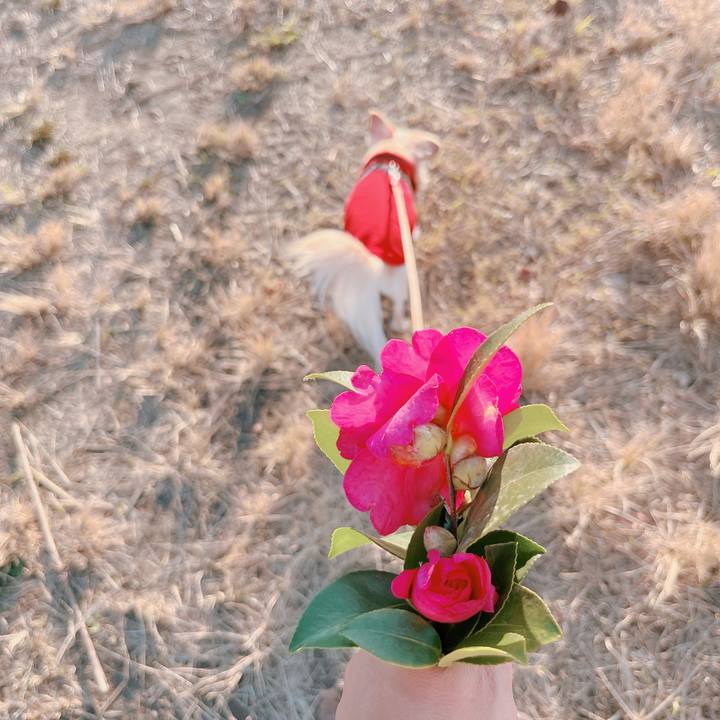 6c974942 4d6e 4d69 b5c8 04255c5efaaa 1670486620097