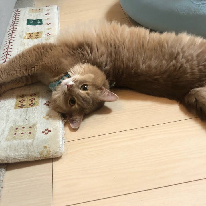 6c976673 60cb 47ce 9cda 0bac4b77fbc0 1630645953301